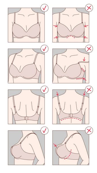 সাইজ ফিটিং প্রশ্নের উদাহরণ